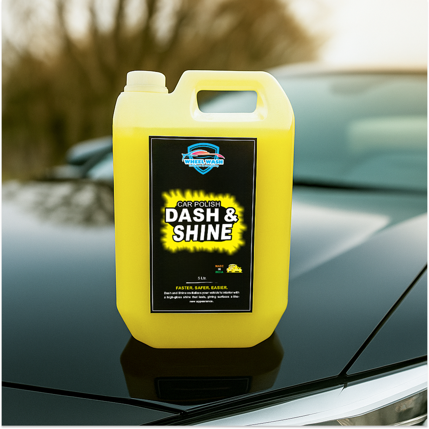 Dash & Shine All In One Polish & Protectant